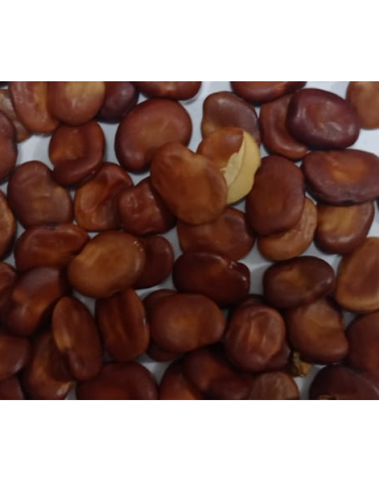 Eşek Baklası 41 tanesi